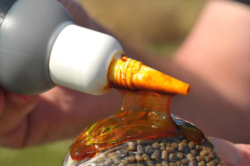 Saorma - 316879176001089214871374596144n.jpg